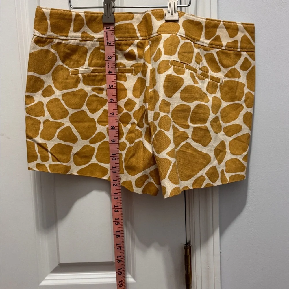 J. Crew Brown and Cream Shorts  size 6